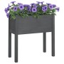 Jardineras 2 uds madera maciza de pino gris 70x31x70 cm de vidaXL, Maceteros y jardineras - Ref: Foro24-810824, Precio: 92,70...