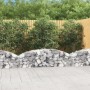 Cesta de gaviones forma arco hierro galvanizado 200x30x40/60 cm en Macetas y jardineras | Comprar online en Foru.es