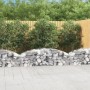 Cesta de gaviones forma arco hierro galvanizado 200x50x40/60 cm en Macetas y jardineras | Comprar online en Foru.es