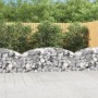 Cesta de gaviones forma arco hierro galvanizado 200x50x60/80 cm en Macetas y jardineras | Comprar online en Foru.es