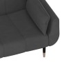 Sofá cama de 2 plazas con dos almohadas terciopelo gris oscuro de vidaXL, Sofás - Ref: Foro24-337583, Precio: 352,70 €, Descu...