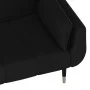2-Sitzer-Schlafsofa mit zwei schwarzen Samtkissen von vidaXL, Sofas - Ref: Foro24-337588, Preis: 357,17 €, Rabatt: %