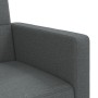 Sofá cama con cojines tela gris oscuro de vidaXL, Sofás - Ref: Foro24-351876, Precio: 298,24 €, Descuento: %