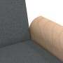 Sofá cama con reposabrazos tela gris oscuro de vidaXL, Sofás - Ref: Foro24-351888, Precio: 303,54 €, Descuento: %