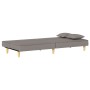 Sofá cama de tela gris taupe de vidaXL, Sofás - Ref: Foro24-351905, Precio: 279,70 €, Descuento: %