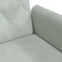 Sofá cama con reposabrazos terciopelo gris claro de vidaXL, Sofás - Ref: Foro24-351944, Precio: 303,17 €, Descuento: %