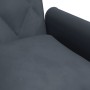 Sofá cama con reposabrazos terciopelo gris oscuro de vidaXL, Sofás - Ref: Foro24-351945, Precio: 320,70 €, Descuento: %