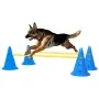 Blue and yellow dog obstacle course by vidaXL, Pet Exercise Equipment - Ref: Foro24-150952, Price: 40,91 €, Discount: %