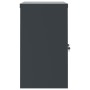 Armario archivador de acero gris antracita 90x40x70 cm de vidaXL, Armarios archivadores - Ref: Foro24-339723, Precio: 175,68 ...