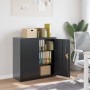 Armario archivador de acero gris antracita 90x40x90 cm de vidaXL, Armarios archivadores - Ref: Foro24-339731, Precio: 206,89 ...