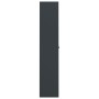 Armario archivador de acero gris antracita 105x40x180 cm de vidaXL, Armarios archivadores - Ref: Foro24-339771, Precio: 334,1...