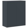 Armario archivador de acero gris antracita 90x40x105 cm de vidaXL, Armarios archivadores - Ref: Foro24-339739, Precio: 206,45...