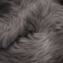 Cojines de silla 2 uds piel de oveja real gris claro 40x40 cm de vidaXL, Cojines para sillas y sofás - Ref: Foro24-284716, Pr...