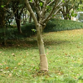 Rollo de yute 0,25x100 m 100% yute 200 gsm en Decoración | Comprar online en Foru.es