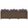 Arriate 120x40x38 cm polipropileno de vidaXL, Maceteros y jardineras - Ref: Foro24-316517, Precio: 66,15 €, Descuento: %