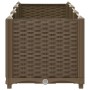 Arriate 120x40x38 cm polipropileno de vidaXL, Maceteros y jardineras - Ref: Foro24-316517, Precio: 66,15 €, Descuento: %