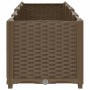Arriate 160x40x38 cm polipropileno de vidaXL, Maceteros y jardineras - Ref: Foro24-316518, Precio: 82,06 €, Descuento: %