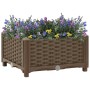 Arriate 40x40x23 cm polipropileno en Macetas y jardineras | Comprar online en Foru.es