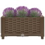Arriate 40x40x23 cm polipropileno en Macetas y jardineras | Comprar online en Foru.es