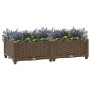 Arriate 80x40x23 cm polipropileno en Macetas y jardineras | Comprar online en Foru.es