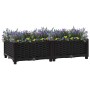 Arriate 80x40x23 cm polipropileno en Macetas y jardineras | Comprar online en Foru.es