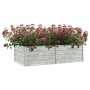 Arriate de acero galvanizado plateado 160x80x45 cm en Macetas y jardineras | Comprar online en Foru.es