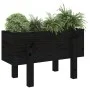 Jardinera madera maciza de pino negro 62x30x38 cm de vidaXL, Maceteros y jardineras - Ref: Foro24-825181, Precio: 41,26 €, De...