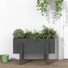 Jardinera madera maciza de pino gris 62x30x38 cm de vidaXL, Maceteros y jardineras - Ref: Foro24-825179, Precio: 47,01 €, Des...