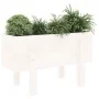Jardinera madera maciza de pino blanco 62x30x38 cm de vidaXL, Maceteros y jardineras - Ref: Foro24-825178, Precio: 38,45 €, D...