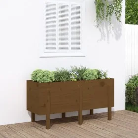Hochbeet Zirbenholz honigbraun 121x50x57 cm von vidaXL, Töpfe und Pflanzgefäße - Ref: Foro24-825229, Preis: 122,78 €, Rabatt: %