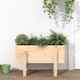 Jardinera madera maciza de pino 62x30x38 cm de vidaXL, Maceteros y jardineras - Ref: Foro24-825177, Precio: 38,28 €, Descuent...