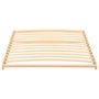 Somier de láminas con 13 listones 100x200 cm de vidaXL, Camas y somieres - Ref: Foro24-327258, Precio: 60,40 €, Descuento: %