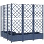 Jardinera con enrejado PP azul gris 120x120x121,5 cm en Macetas y jardineras | Comprar online en Foru.es