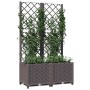Jardinera con enrejado PP marrón 80x40x136 cm en Macetas y jardineras | Comprar online en Foru.es