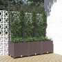 Jardinera de jardín con enrejado marrón 120x40x136 cm PP en Macetas y jardineras | Comprar online en Foru.es