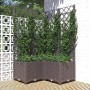 Jardinera con enrejado PP marrón 80x80x136 cm en Macetas y jardineras | Comprar online en Foru.es