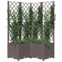Jardinera con enrejado PP marrón 80x80x136 cm en Macetas y jardineras | Comprar online en Foru.es