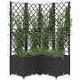 Jardinera con enrejado PP negro 80x80x136 cm en Macetas y jardineras | Comprar online en Foru.es