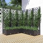 Jardinera con enrejado PP negro 120x120x121,5 cm en Macetas y jardineras | Comprar online en Foru.es