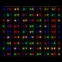 Cortina de luces 3x3 m 300 LED de colores 8 funciones de vidaXL, Luces de Navidad - Ref: Foro24-328932, Precio: 23,43 €, Desc...