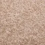 Beige doormat 80x120 cm by vidaXL, Doormats - Ref: Foro24-331585, Price: 46,43 €, Discount: %