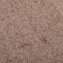 Felpudo marrón 80x120 cm de vidaXL, Felpudos - Ref: Foro24-331588, Precio: 42,63 €, Descuento: %