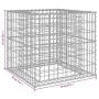 Cesta de gaviones hierro galvanizado color plateado 70x70x65 cm de vidaXL, Maceteros y jardineras - Ref: Foro24-364850, Preci...