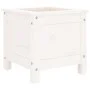 Jardinera madera maciza de pino blanco 40x40x39 cm de vidaXL, Maceteros y jardineras - Ref: Foro24-825248, Precio: 42,62 €, D...