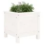 Jardinera madera maciza de pino blanco 40x40x39 cm de vidaXL, Maceteros y jardineras - Ref: Foro24-825248, Precio: 42,62 €, D...