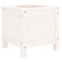 Jardinera madera maciza de pino blanco 40x40x39 cm de vidaXL, Maceteros y jardineras - Ref: Foro24-825248, Precio: 52,61 €, D...