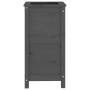 Jardinera madera maciza de pino gris 40x40x78 cm de vidaXL, Maceteros y jardineras - Ref: Foro24-825277, Precio: 80,89 €, Des...