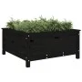 Jardinera madera maciza de pino negro 82,5x82,5x39 cm de vidaXL, Maceteros y jardineras - Ref: Foro24-825300, Precio: 104,24 ...