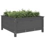 Jardinera madera maciza de pino gris 82,5x82,5x39 cm de vidaXL, Maceteros y jardineras - Ref: Foro24-825298, Precio: 105,83 €...