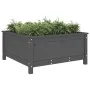 Jardinera madera maciza de pino gris 82,5x82,5x39 cm de vidaXL, Maceteros y jardineras - Ref: Foro24-825298, Precio: 104,24 €...